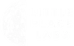 Little Place Labs logo