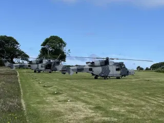 Lomas Helicopters