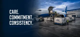 MSN Air Service