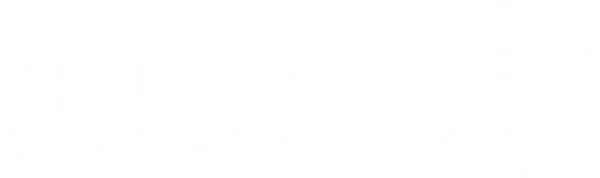 Neutralino Space Ventures logo