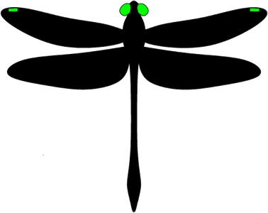 Odonata Research logo