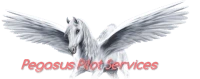 Pegasus Pilot Services LLC logo