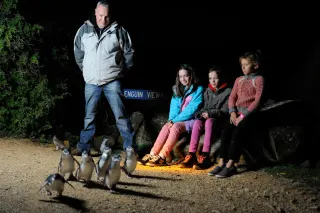 Penguin tours & travel ltd