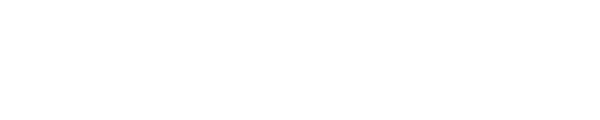 Pragmatic Design Solutions logo
