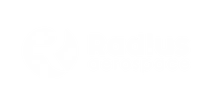 Radius Aerospace logo