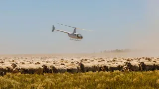 Robinson Helicopter Company