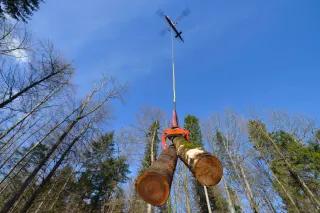 Rotex Helicopter AG