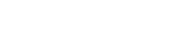 Sentinel Data Analytics Corporation logo
