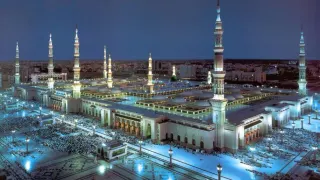 Shiraz Travel Ltd