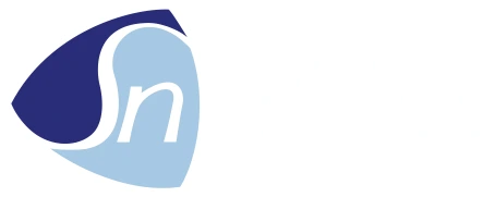 Sigma-Netics logo