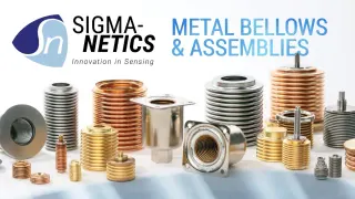 Sigma-Netics