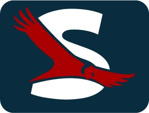 SOENAS Aviation Consulting logo