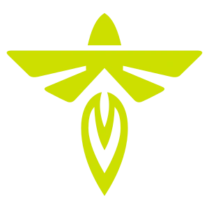 Space-ng logo