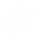 THE Flying Lizard logo