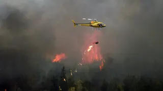 Type One Incident Support