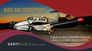 Vertivue Air Charters