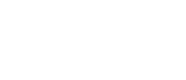 Whitesky Aviation logo