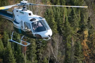 Wilderness Helicopters Ltd.