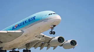Wingbits