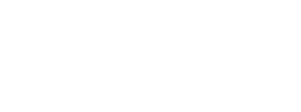 Air Hawkes Bay Limited logo