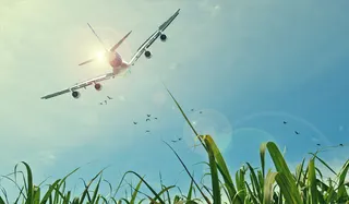 Aman Aviation & Aerospace Solutions logo