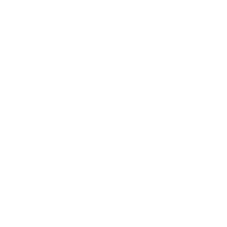 Ariane Helicopter Services S.r.l. logo