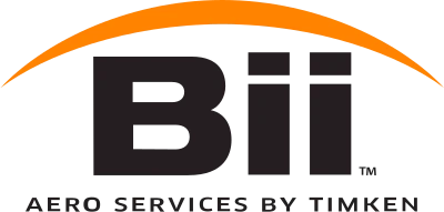 Bearing Inspection, Inc. logo