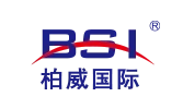 Best Services International logo