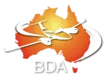 Blue Demon Aviation Pty Ltd logo