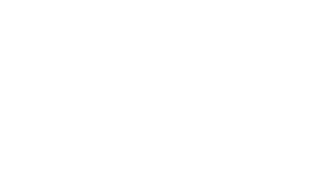BridgePoint Air Advisors logo