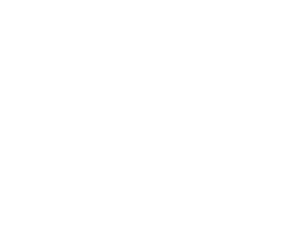 BT2I Group logo