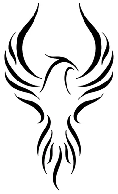 Complex Incident Management Solutions logo