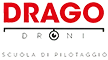 Drago Droni logo
