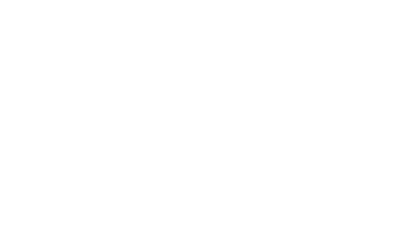 Executive Compass Flight Institute logo