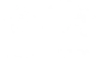 FL Aviation logo