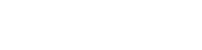 Flight Data Systems logo