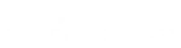 FlightBridgeED logo