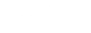 Flying Fox Engineering logo
