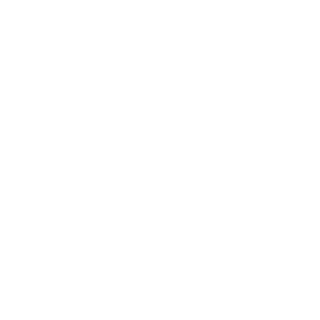High West Jets logo