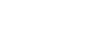 MADES logo