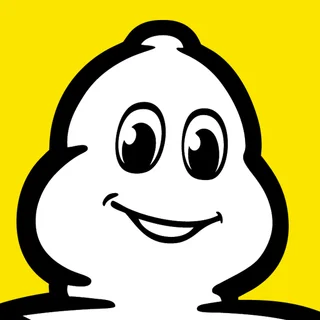 Michelin Aircraft Tire logo