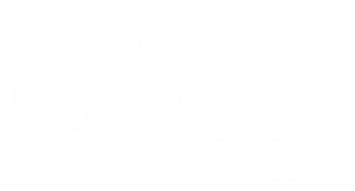 Mustang Helicopters Inc. logo