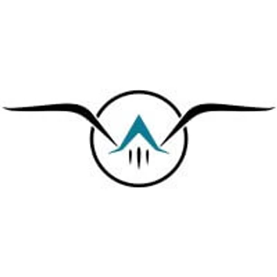 Nautical Wings Aerospace logo