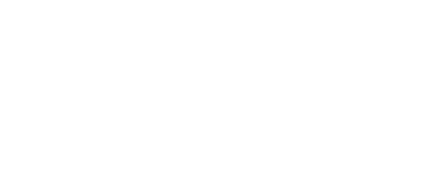 Neo Space Group (NSG) logo