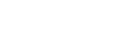 Night Flight Concepts logo