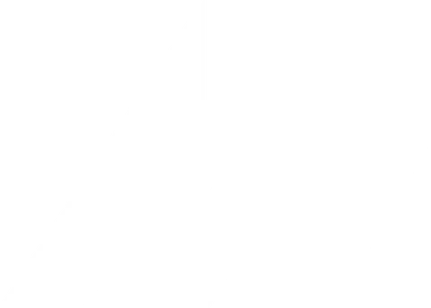 North Flying logo