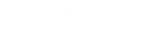 Northern Jet logo