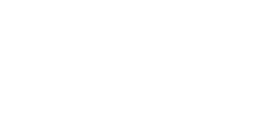 Omega Airline Software logo