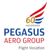 Pegasus Aero Group logo