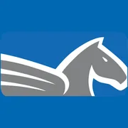 Pegasus Flight Support, Inc. logo